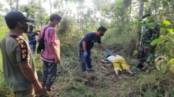 DIDUGA AKIBAT STROKE, PENCARI KAYU BAKAR DITEMUKAN TERGELETAK DI SAWAH