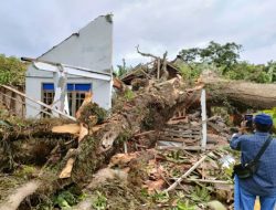 POHON TUMBANG TIMPA RUMAH DAN SEKOLAH, 3 ORANG JADI KORBAN