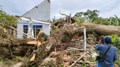 POHON TUMBANG TIMPA RUMAH DAN SEKOLAH, 3 ORANG JADI KORBAN