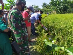 TERSENGAT LISTRIK JEBAKAN TIKUS, LANSIA DI RANDUBLATUNG DITEMUKAN TAK BERNYAWA