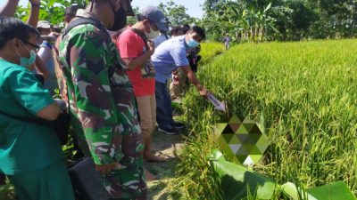TERSENGAT LISTRIK JEBAKAN TIKUS, LANSIA DI RANDUBLATUNG DITEMUKAN TAK BERNYAWA