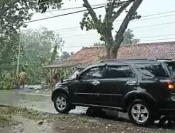 ANGIN PUTING BELIUNG RUSAK RUMAH WARGA DAN POHON TUMBANG DI KECAMATAN NGAWEN