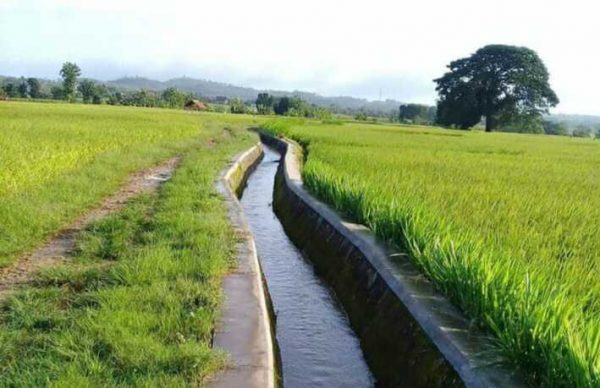 45.885,16 Ha wilayah kabupaten Blora merupakan lahan sawah, dan mayoritas penduduknya berprofesi sebagai petani. Namun yang menjadi masalah ialah luasnya lahan sawah tidak berimbang dengan pasokan air. Diketahui, jumlah pengairan di Kabupaten Blora masih tergolong minim. Mayoritas petani di Blora masih mengandalkan tadah hujan untuk bercocok tanam.