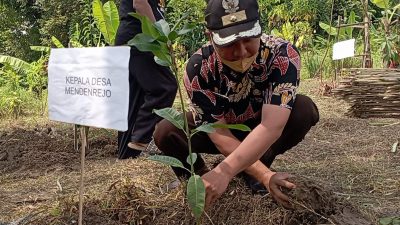 25 tahun lalu terjadi pembalakan liar di hutan Dukuh Kuwung, Desa Mendenrejo, Kecamatan Kradenan, Kabupaten Blora mengakibatkan hilangnya sumber mata air.