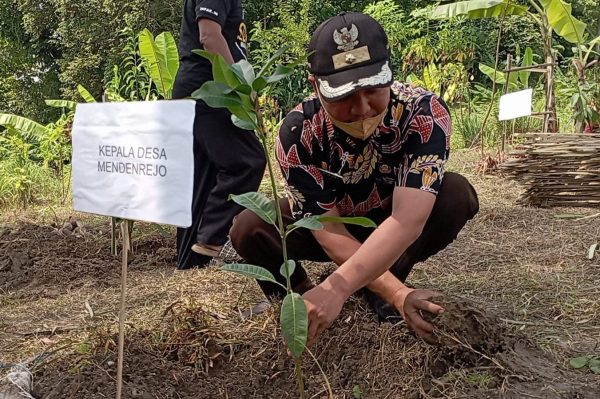 25 tahun lalu terjadi pembalakan liar di hutan Dukuh Kuwung, Desa Mendenrejo, Kecamatan Kradenan, Kabupaten Blora mengakibatkan hilangnya sumber mata air.