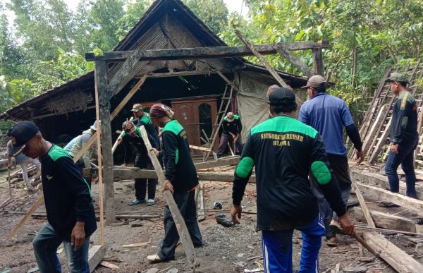 Pimpinan Anak Cabang (PAC) Gerakan Pemuda (GP) Ansor Kecamatan Ngawen menggelar bakti sosial bedah rumah dan penanaman seribu pohon di Dusun Gesik, Desa Sumberejo, Kecamatan Ngawen, Kabupaten Blora.