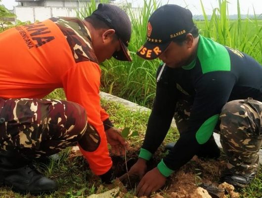 Pimpinan Ranting Gerakan Pemuda (PR GP) Ansor Desa Sendangwungu, Kecamatan Banjarejo, Kabupaten Blora menggelar aksi lingkungan menanam pohon identitas Desa Sendangwungu.