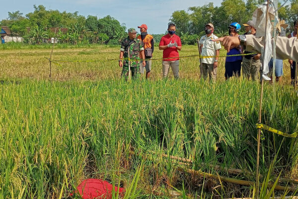Warga Kelurahan Balun, Kecamatan Cepu, Kabupaten Blora dihebohkan dengan adanya penemuan mayat di tengah persawahan dekat komplek Nglebok yang tidak diketahui identitasnya.