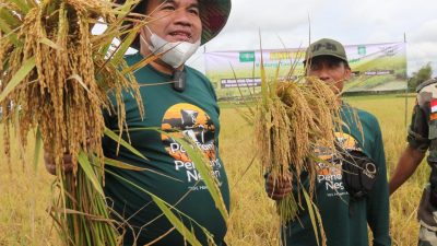 “Potensi pasar beras organik kita banyak. Setelah dipanen, nanti bisa ditampung oleh BUMDes Desa Sonokidul untuk dilakukan pengemasan, akan kita minta dinas terkait untuk upayakan mesin pengeringnya," jelasnya.