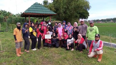 Guna memanfaatkan lahan kosong agar lebih produktif, Pemerintah Desa Plumbon, Kecamatan Ngawen, Kabupaten Blora bersama Karangtaruna menanam pohon kelor di sepanjang bantaran embung yang berada di desa tersebut.