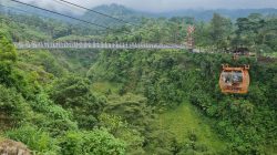 Wisata di lereng Gunung Bibi Desa Tegalmulyo, Kecamatan Kemalang, Kabupaten Klaten raup omset Rp 75 juta per bulan setelah diviralkan Gubernur Jawa Tengah, Ganjar Pranowo. Wisata dengan keindahan panorama pegunungan ditambah jembatan gantung dan gondola yang menjadi akses warga Dusun Girpasang itu kini banyak didatangi wisatawan.