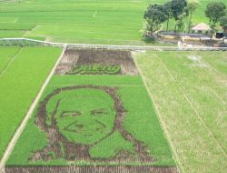 GAMBAR GANJAR TERPAMPANG DITENGAH SAWAH