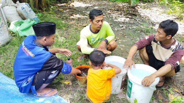 Mahasiswa KKN STAI Al-Muhammad Cepu yang tergabung dalam Koordinator Desa (Kordes), Desa Ketuwan gelar Pendampingan Pembuatan Fermentasi Pakan dari Janggel kemarin. Bertempat dirumah salah seorang warga bernama Faza Afif, kegiatan diikuti warga setempat dan berlangsung selama dua hari. Yakni pada kamis (10/3) dan jumat (11/3).