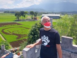 PENASARAN DENGAN GAMBARNYA, GANJAR DATANGI WISATA PARI COREK