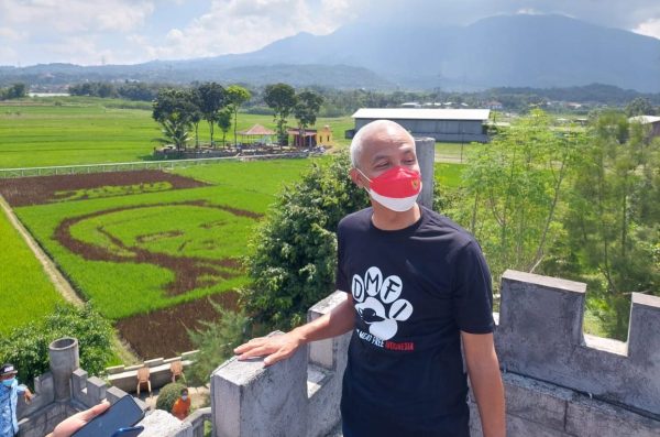 Gubernur Jawa Tengah, Ganjar Pranowo akhirnya mendatangi obyek wisata Pari Corek di Bergas Lor, Kecamatan Bergas, Kabupaten Semarang, Kamis (17/3). Hal itu dilakukan lantaran penasaran dengan gambar wajahnya yang dilukis ditengah sawah