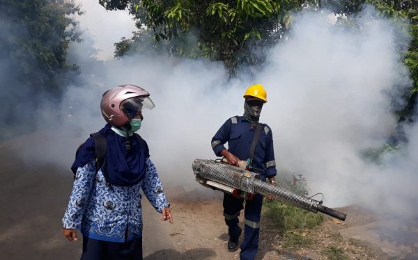 Sebanyak 6 warga Blora tewas akibat serangan nyamuk Aedes Aegypti. Warga tersebut berasal dari Blora (2 orang) Serta dari Jepon, Kedungtuban, Ngawen dan Randublatung masing-masing 1 orang.