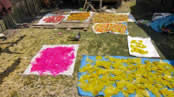 Sub koordinator seksi Farmasi, makan minum, alat kesehatan (farmalkes) dan perbekalan kesehatan (Perbelkes) Dinas Kesehatan Kabupaten Blora, Jawa Tengah peringatkan produsen Krupuk yang mengandung zat berbahaya pewarna tekstil (Rodamin B) di desa Seso, Kecamatan Jepon pada Kamis (14/4).