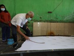 BATIK CIPRAT, PRODUK UMKM PENYANDANG DISABILITAS