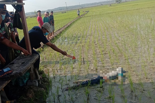 Seorang laki-laki bernama Sugianto (40) warga Dukuh Sudung Rt. 003 Rw. 006, Desa Wado, Kecamatan Kedungtuban, Kabupaten Blora ditemukan tewas di area persawahan karena tersengat aliran arus listrik jebakan tikus.