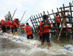 GERAK CEPAT ATASI BANJIR ROB, DUA TANGGUL JEBOL DIPERBAIKI