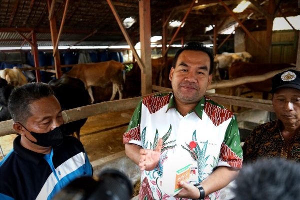 Tahun ini, Pemkab Blora akan membangun RPH Modern. Lokasinya di Selatan Pasar Induk Sido Makmur Blora. Harapannya, kedepan sapi Blora bisa disembelih dan diolah terlebih dahulu di Blora sebelum dikirim ke Jakarta.