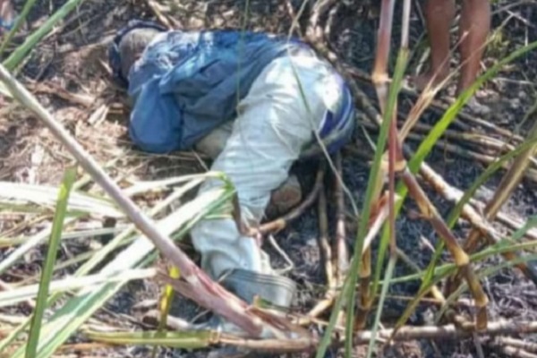Supono (53) warga Dukuh Kalonan RT 07 RW 02, Desa Tinapan, Kecamatan Todanan, Kabupaten Blora tewas, akibat adanya pembakaran sisa tebangan tebu, Senin (30/5) sekira pukul 14:10 Waktu Indonesia Barat.