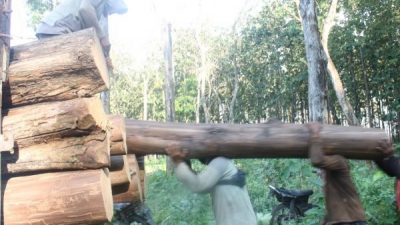 202.988 HEKTAR LAHAN HUTAN JATENG MASUK KHDPK