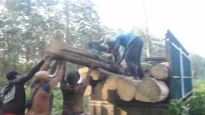 Berkas perjanjian jasa angkutan hasil hutan kayu tahun 2022 antara Perum Perhutani KPH Blora dengan PT. Utama Lestari Barokah ternyata hasil copy paste KPH Kendal. Terbukti, berkas yang totalnya 5 lembar tersebut masih tercantum nama KPH Kendal di dalamnya. Belum sempat diganti.