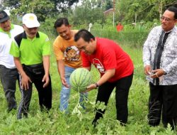 DESA BANGSRI KEMBALI LUNCURKAN INOVASI BARU BERUPA AGROWISATA PETIK BUAH