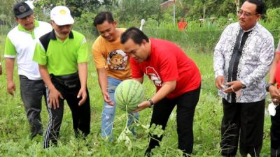 Badan Usaha Milik Desa (BUMDes) “Maju Mapan” Desa Bangsri, Kecamatan Jepon kembali menelurkan inovasi baru berupa Agrowisata Petik Buah.