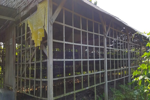 Pusat pengembangan ayam joper di Desa Brabowan, Kecamatan Sambong, Kabupaten Blora tidak bertahan lama. Desember 2018 diresmikan, 2020 sudah mangkrak, tidak produksi.