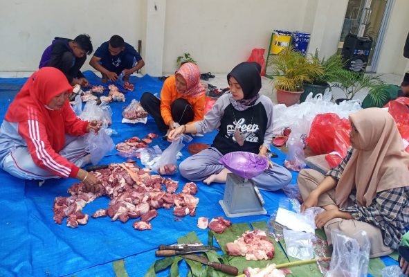 Siswa SMP Muhammadiyah 5 (Mulia) Randublatung, Kabupaten Blora diajak untuk mengurus hewan kurban. Mulai penyembelihan hingga pembagian daging kurban.