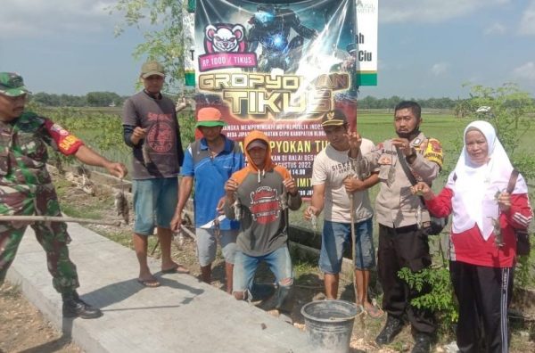 Polres Blora menggelar lomba gropyokan tikus serentak Forkopincam di 4 kecamatan di wilayah Kabupaten Blora bagian selatan pada saat Hari Ulang Tahun Kemerdekaan RI ke 77, Rabu (17/8) kemarin. Satu ekor tikus dihargai seribu rupiah. 