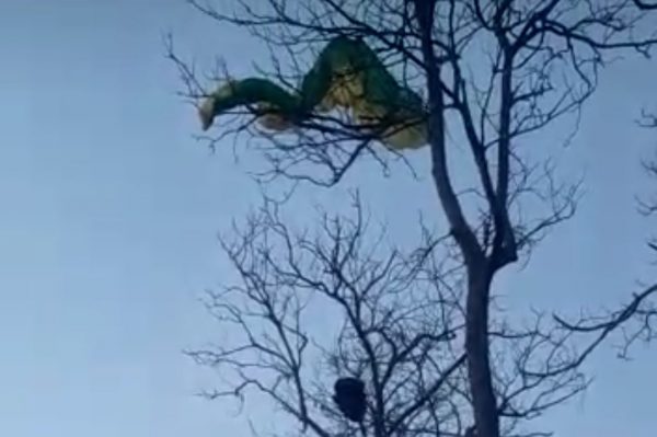 Satu dari 41 peserta Super Liga Nasional Cross Country Nyangkut di Hutan Blora. Tepatnya Desa Bangkleyan, Kecamatan Jati, Blora. Tidak ada korban jiwa dalam musibah ini. Korban berhasil selamat dan sudah dievakuasi oleh warga.