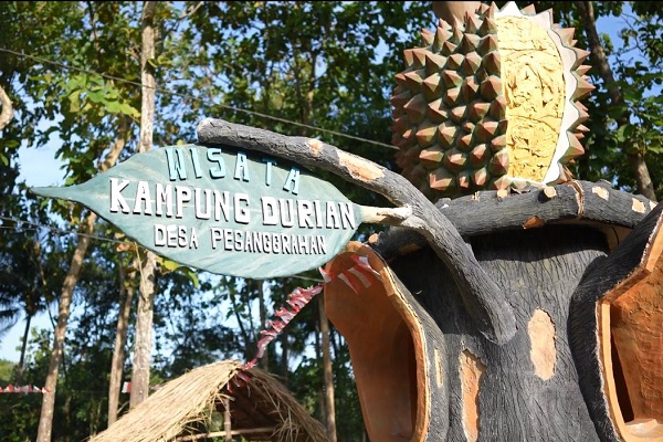 Salah satu desa di Kecamatan Kesugihan, Kabupaten Cilacap tengah merintis objek wisata kampung durian. Desa tersebut ialah Desa Pesanggarahan. Tentu saja langkah ini untuk mendongkrak perekonomian masyarakat.