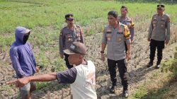 Kepala Kepolisian Resor (Kapolres) Blora, AKBP Fahrurozi _nyemplung sawah_ di area persawahan Kecamatan Kedungtuban dalam rangka meninjau persoalan yang dihadapi oleh petani. Salah satunya menyoal hama tikus.