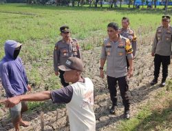 POLISI AKAN BANTU ATASI HAMA TIKUS