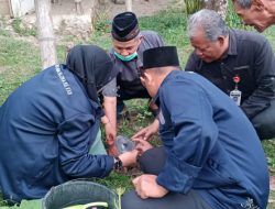 TEKAN STUNTING, MAHASISWA KKN STAIM BLORA GELAR SOSIALISASI MANFAAT DAUN KELOR