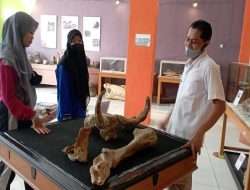 PUNYA RATUSAN BENDA PURBA, KONDISI RUMAH ARTEFAK MEMPRIHATINKAN