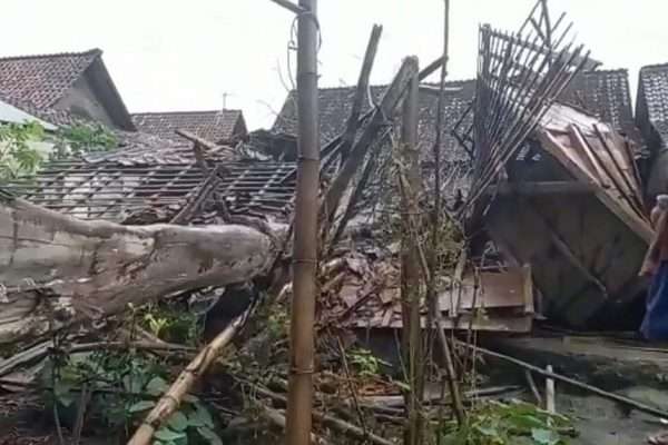 Rumah hancur karena tertimpa pohon randu tua.