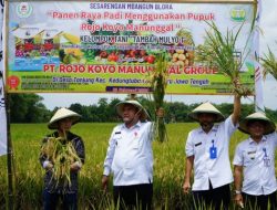 GUNAKAN PUPUK ORGANIK, HASIL PANEN MENINGKAT