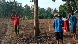 Tim Fasilitasi Kementerian Lingkungan Hidup dan Perhutanan (KLHK) mendapati adanya tumpang tindih Hutan Sosial setelah ditemukannya 2 Kelompok Tani Hutan (KTH) di satu lahan.