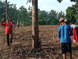 PETANI DI BLORA TAK PERLU NGUMPET-NGUMPET GARAP LAHAN HUTAN