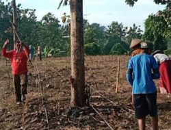 TUMPANG TINDIH HUTAN SOSIAL, 2 KTH DI SATU LAHAN