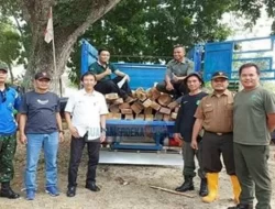 35 BATANG KAYU ILEGAL BERHASIL DIAMANKAN PERHUTANI CEPU