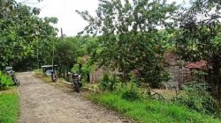 Sebanyak 10 Kepala Keluarga (KK) di Dukuh Temanjang, Desa Jatisari, Kecamatan Banjarejo, Blora tercatat belum memiliki meteran listrik atau kWh meter sendiri. 