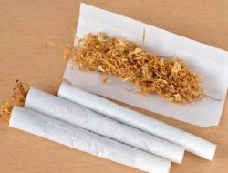 HARGA ROKOK NAIK, APA HARUS NGLINTING?