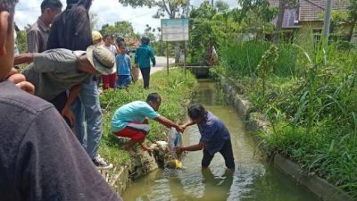 BAYI BERUSIA DUA HARI DITEMUKAN TEWAS DI SALURAN IRIGASI BLORA
