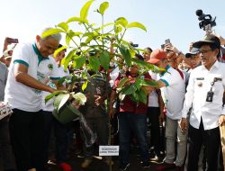 PERINGATI HARI BUMI, GANJAR TANAM POHON DI LOKASI BEKAS TAMBANG