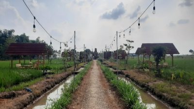 JANGAN LEWATKAN FESTIVAL DESA WISATA BLORA 2023